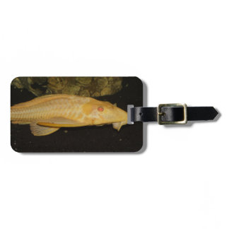 Glyptoperichthys gibbiceps luggage tag