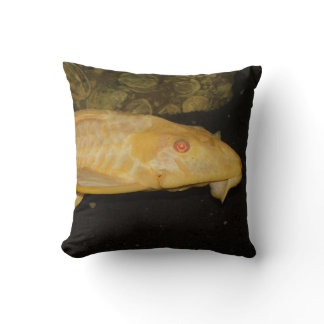 Glyptoperichthys gibbiceps throw pillow
