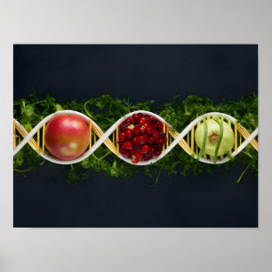 GMO Food and Genetically Modified Crops Poster