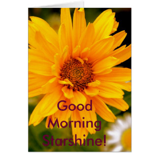 G'Morning Starshine Cards