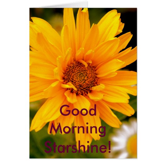 G'Morning Starshine Cards (Front)