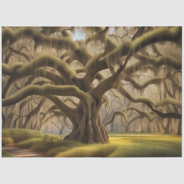 Gnarly Oak Spanish Moss Low Country Decoupage  Tissue Paper (Front)