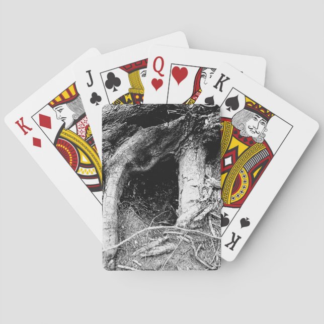 Gnarly old tree poker cards (Back)