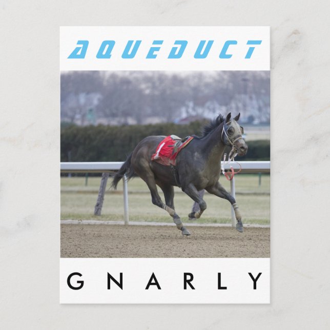 Gnarly Postcard (Front)