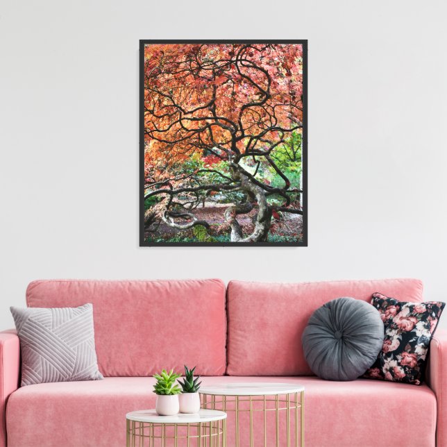 Gnarly Twisted Japanese Maple Tree Canvas Print (Insitu(LivingRoom))