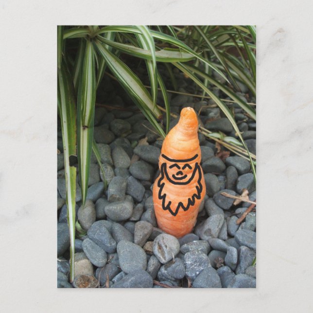 Gnome Carrot Postcard (Front)