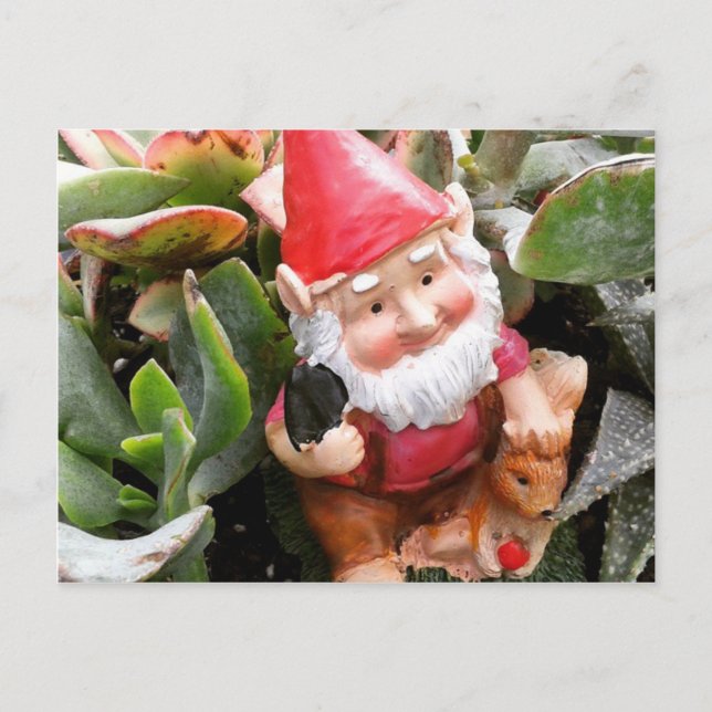 Gnome hiding in the succulents postcard (Front)