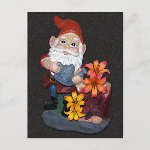 Gnome Photo Design Postcard