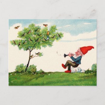 Gnome Playing Music For Birds Postcard by redmushroom at Zazzle