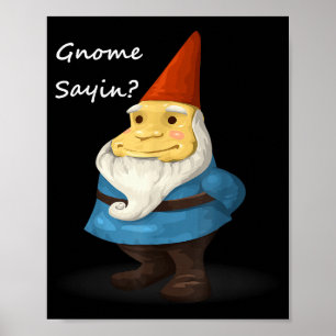 Gnome Sayin - Do You Know What I Am Saying Funny Poster