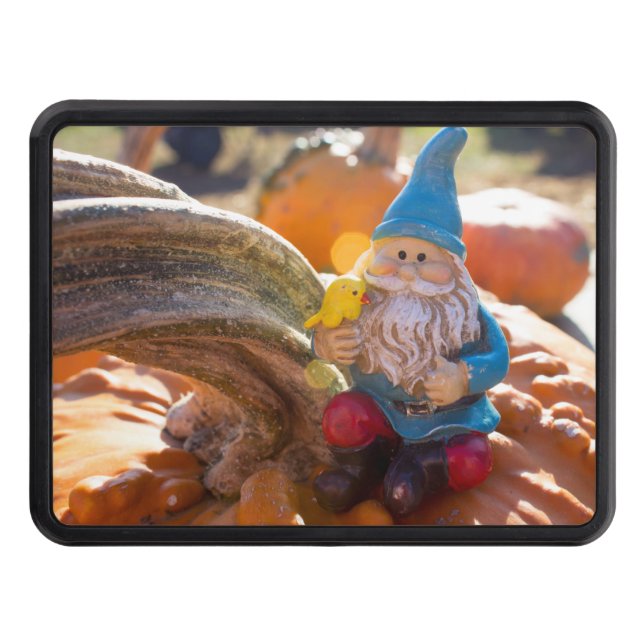 Gnome Stem Hitch Cover (Front)