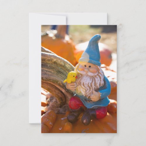 Gnome Stem II Card