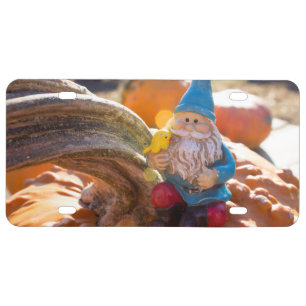 Gnome Stem License Plate