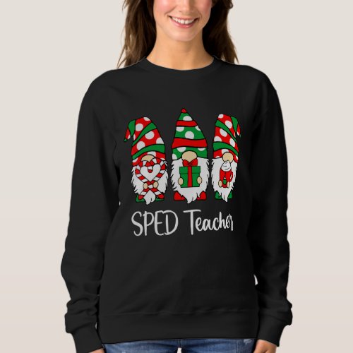 Gnomes Sped Teacher Christmas Teacher Santa Hat Sweatshirt