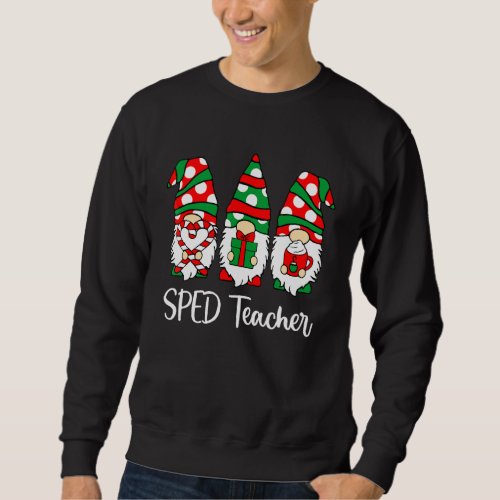 Gnomes Sped Teacher Christmas Teacher Santa Hat Sweatshirt