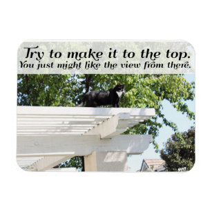 Go and Make it to the Top Cat Motivational Slogan Magnet