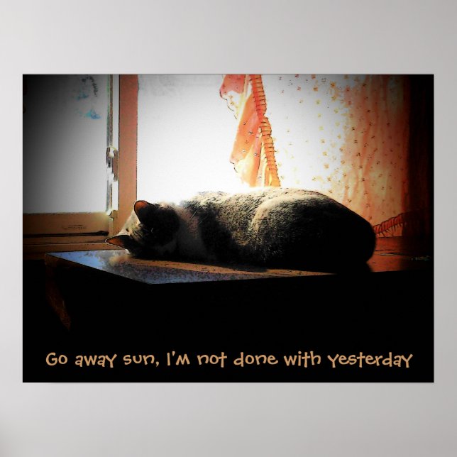 Go Away Sun - Sleeping Cat Poster (Front)