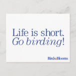 Go Birding! Postcard