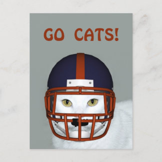 GO CATS! POSTCARD