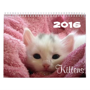 Go Cute ~ Go Kittens 2016 Calendar by Fanattic at Zazzle
