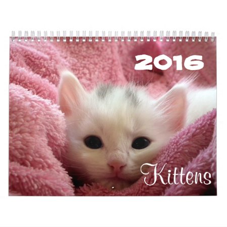 Go Cute ~ Go Kittens 2016 Calendar