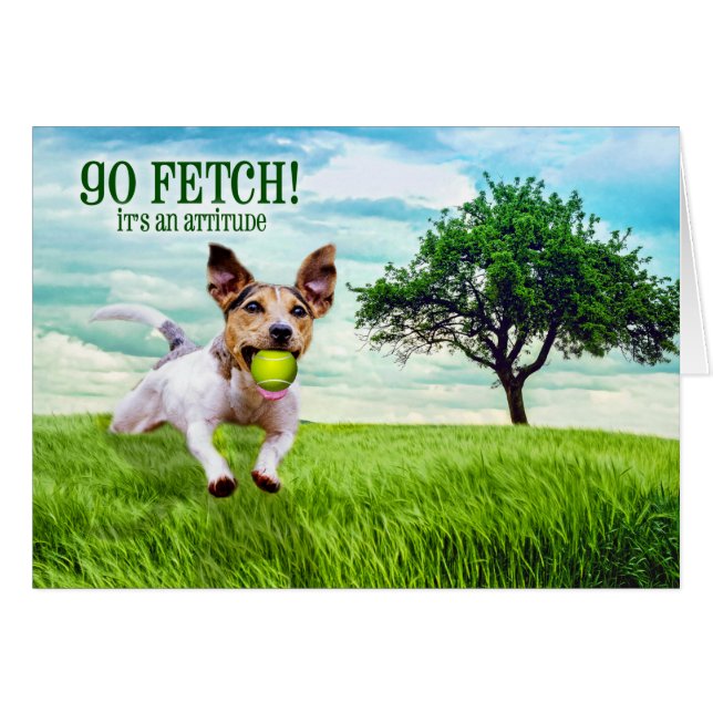 Go Fetch Jack Russel Terrier Blank All Occasion Cards (Front Horizontal)