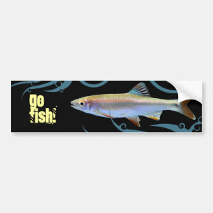 Go Fish! Shiner Minnow Bumper Sticker