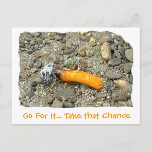 Go For It Take That Chance Postcard