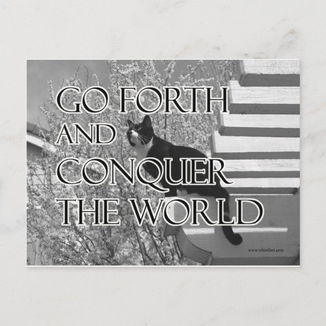 Go Forth and Conquer Motivational Cat Postcard (Front)