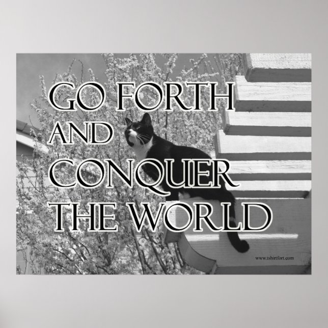Go Forth and Conquer Motivational Cat Poster (Front)