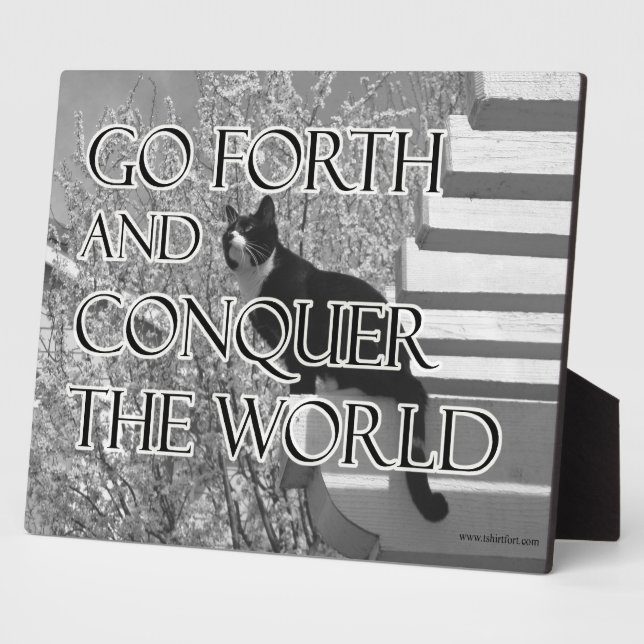 Go Forth and Conquer Motivational Cat Quote Photo Plaque (Side)