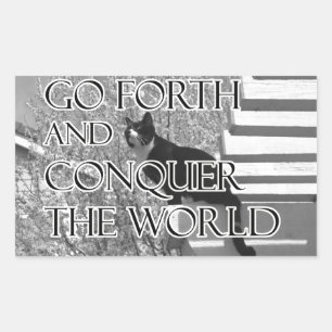 Go Forth and Conquer Motivational Cat Rectangular Sticker