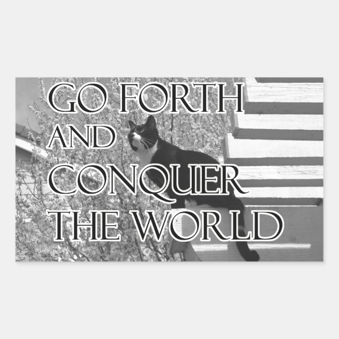 Go Forth and Conquer Motivational Cat Rectangle Sticker