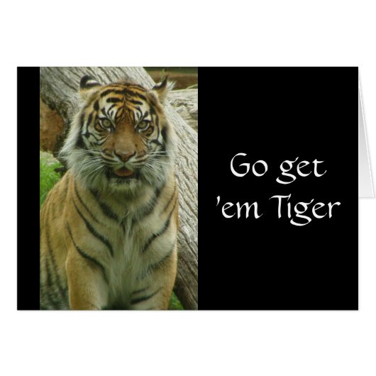 Go get 'em Tiger Cards (Front Horizontal)
