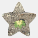 Go Green Reduce Reuse Recycle Star Sticker