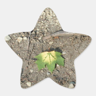 Go Green Reduce Reuse Recycle Star Sticker