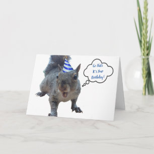 Go Nuts Party Squirrel Birthday Card