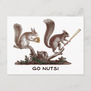 Go Nuts Rally Squirrel Greetings from St. Louis! Postcard