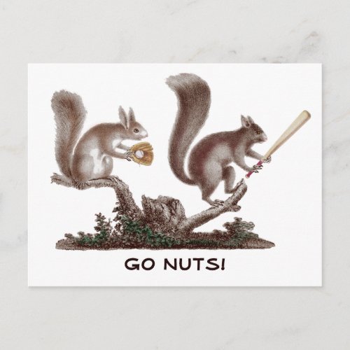 Go Nuts Rally Squirrel Greetings from St Louis Postcard
