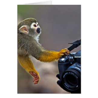 Go on! let me take the shot cards