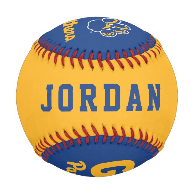 Go Panthers Baseball (Back)