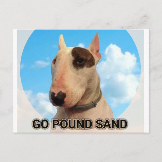 Go pound sand postcard (Front)