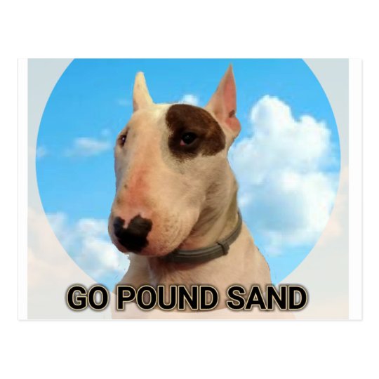 Go pound sand postcard