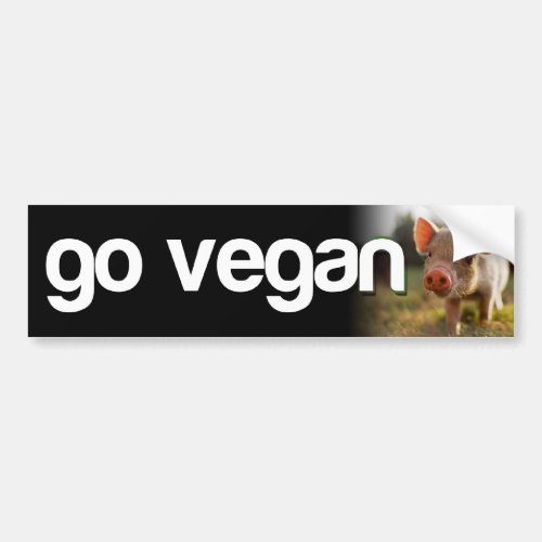 GO VEGAN _ piggy Bumper Sticker