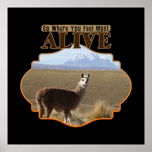 Go Where You Feel Most Alive Llama Adventurer Poster (Front)