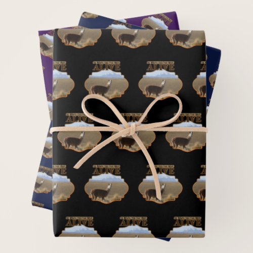 Go Where You Feel Most Alive Llama Adventurer Wrapping Paper Sheets
