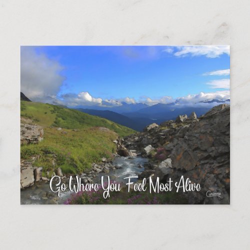 Go Where You Feel Most Alive _ Postcard