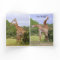 "Go Wild" Happy Birthday Giraffes Card