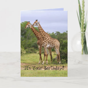 "Go Wild" Happy Birthday Giraffes Card