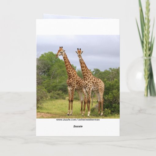 Go Wild Happy Birthday Giraffes Card Zazzle